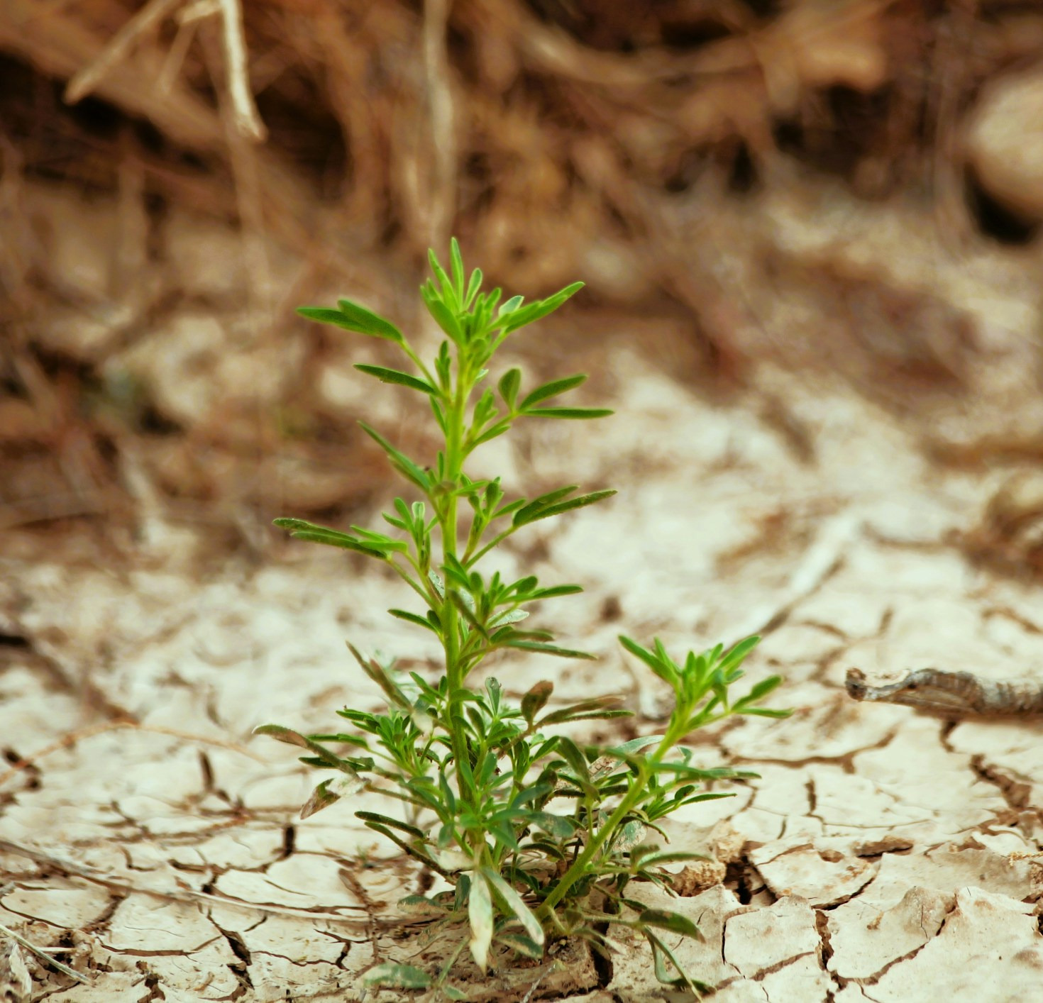 Strategies for Sustainable Resource Management in Liberia